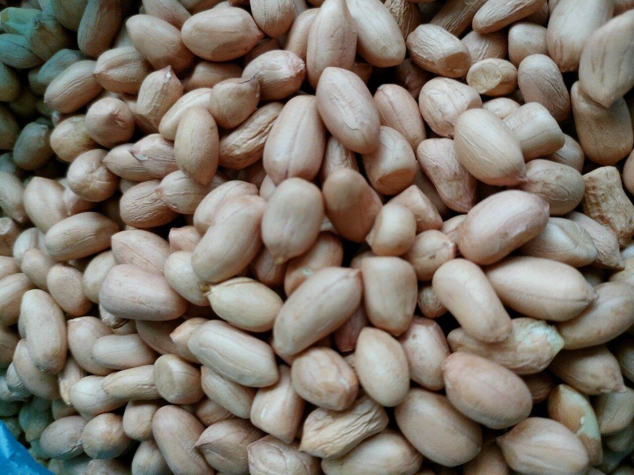 ĐẬU PHỘNG 1KG