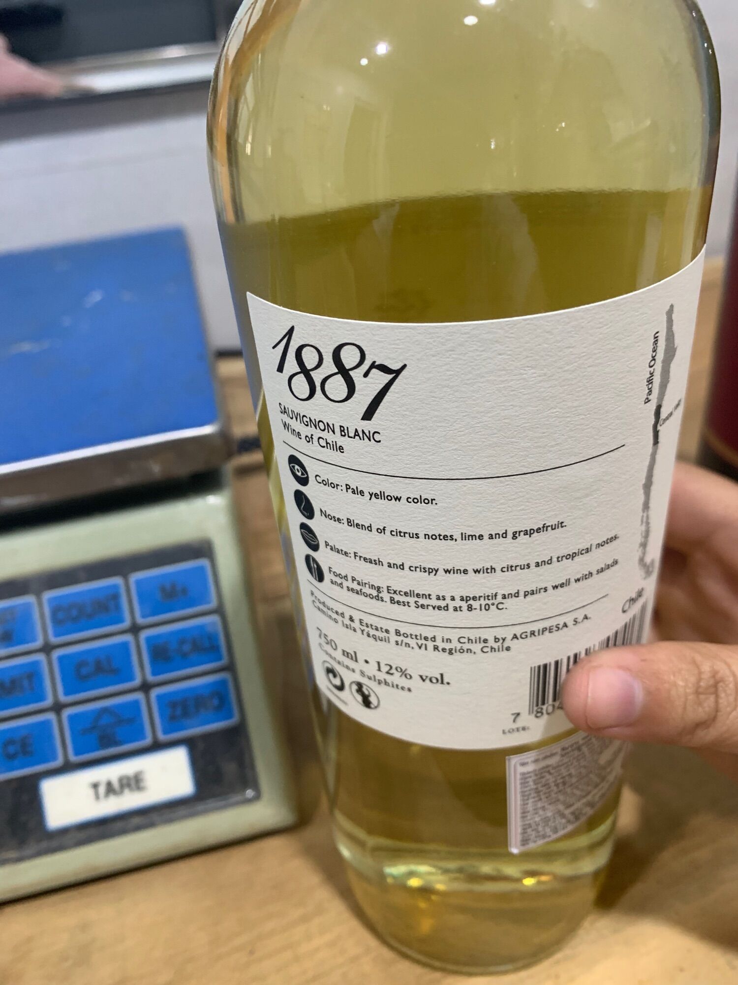 1887 Sauvignon Blanc