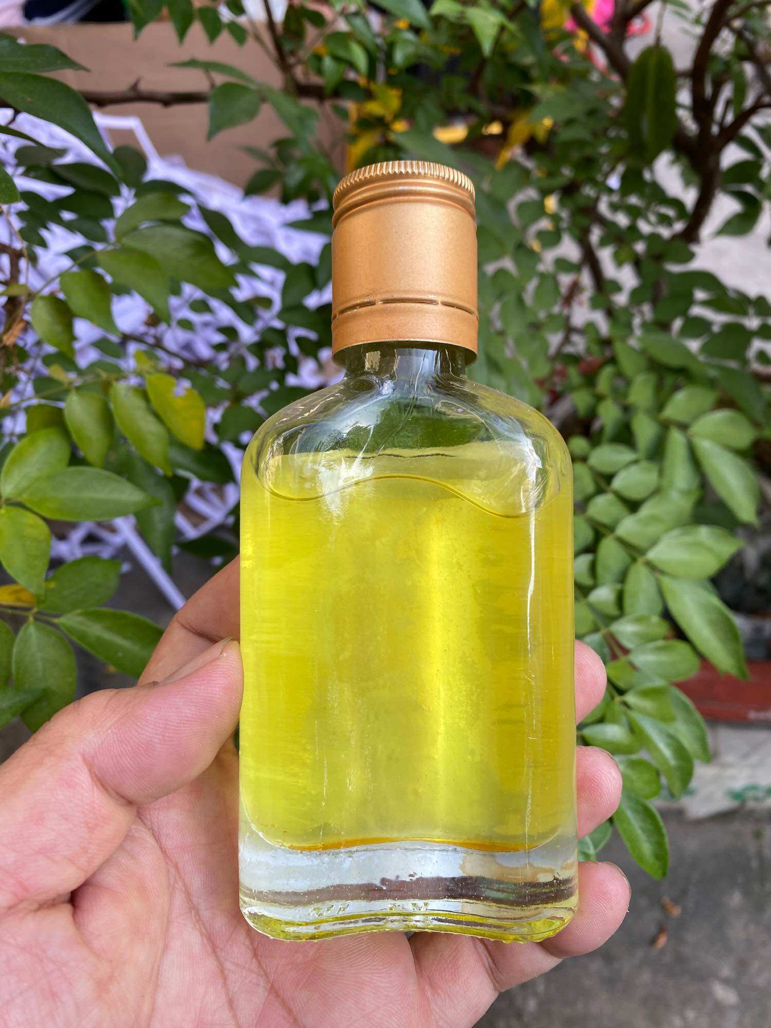 Dầu tràm huế nguyên chất Thiên An 100ml (giá gốc)