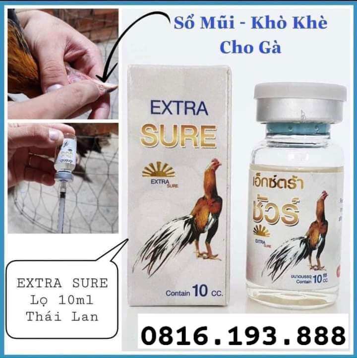 Hen tiêm extra sure thái lan