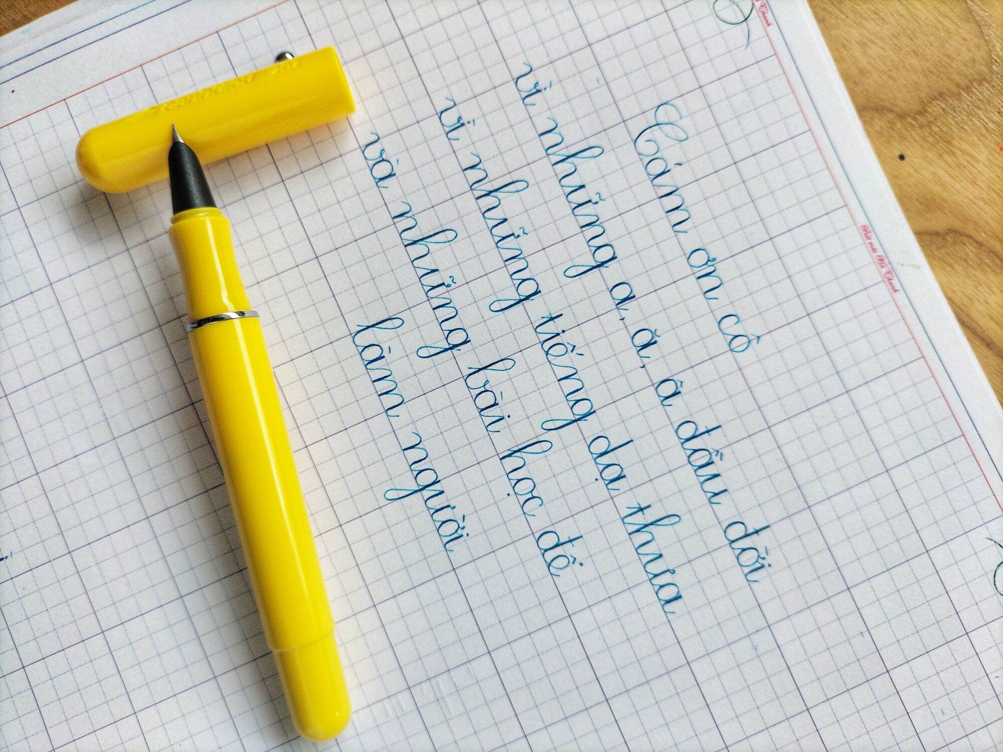 Bút máy Cánh Diều 202 loại vòng đệm⚡ CAO CẤP ⚡ bút mực cho bé lớp 1 trở lên - bút luyện viết chữ đẹp - được chọn màu