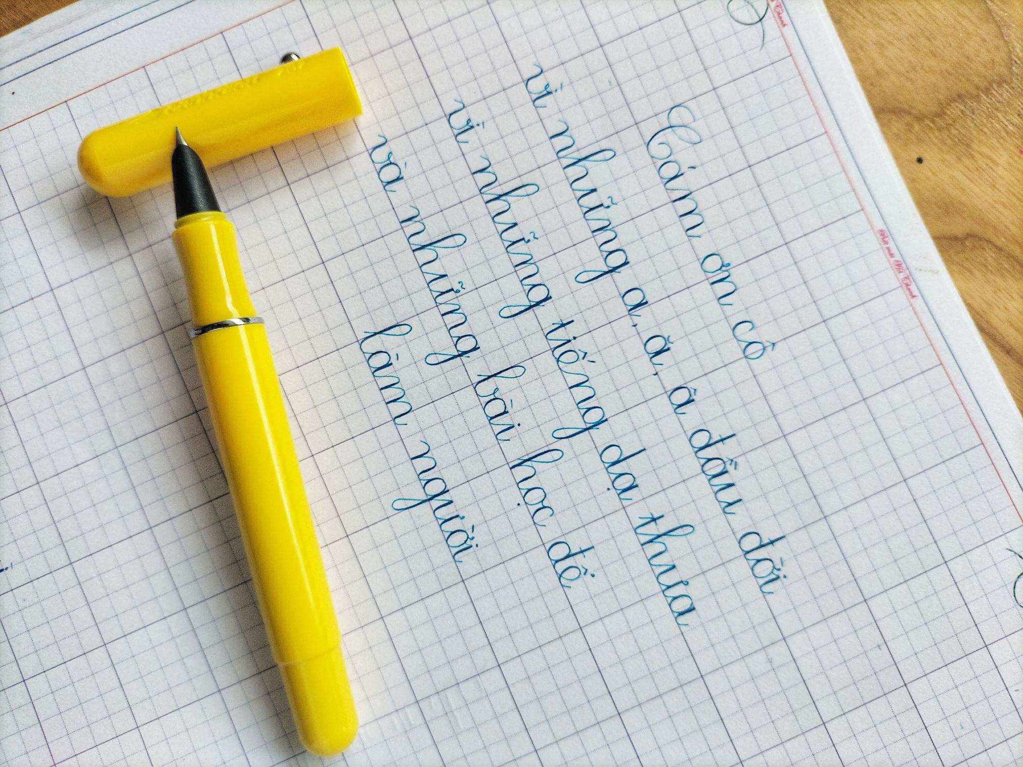 Bút máy Cánh Diều 202 loại vòng đệm⚡ CAO CẤP ⚡ bút mực cho bé lớp 1 trở lên - bút luyện viết chữ đẹp - được chọn màu