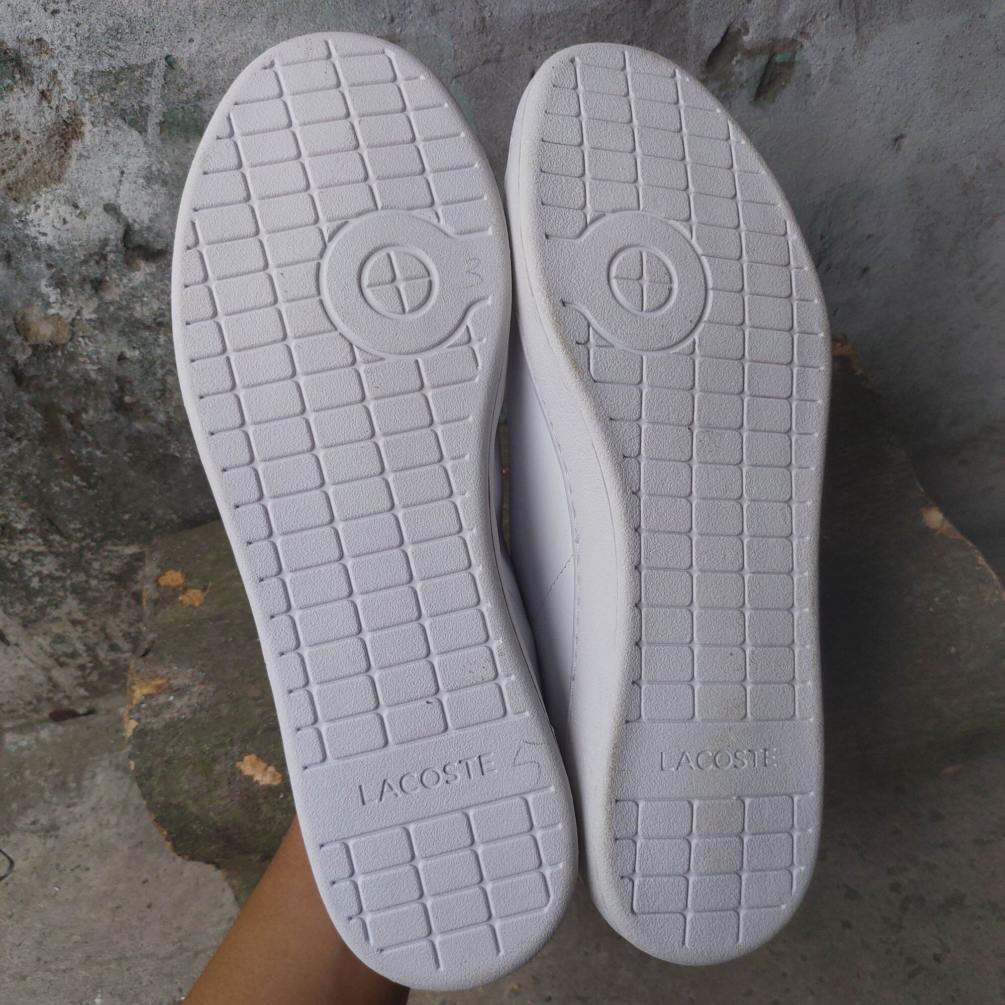Giày new lacoste big size