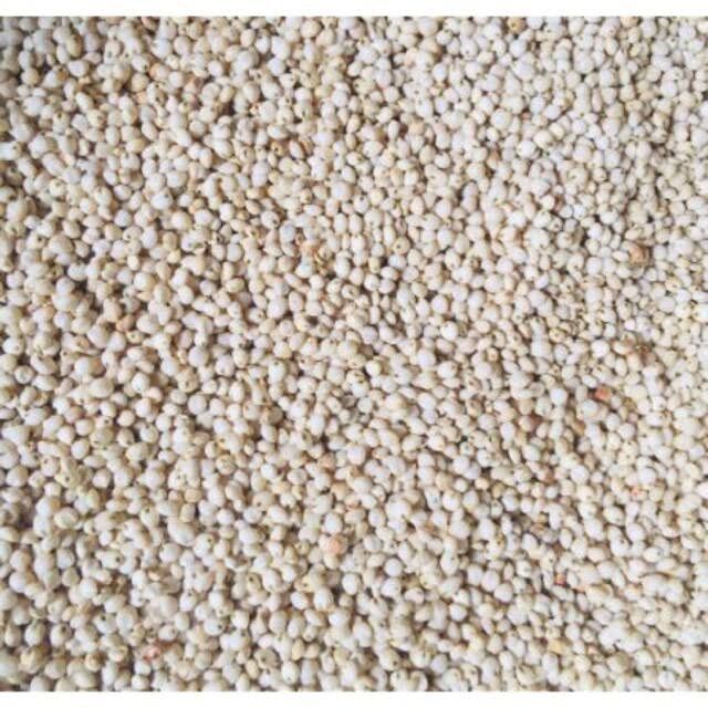 Hạt i dĩ 500g