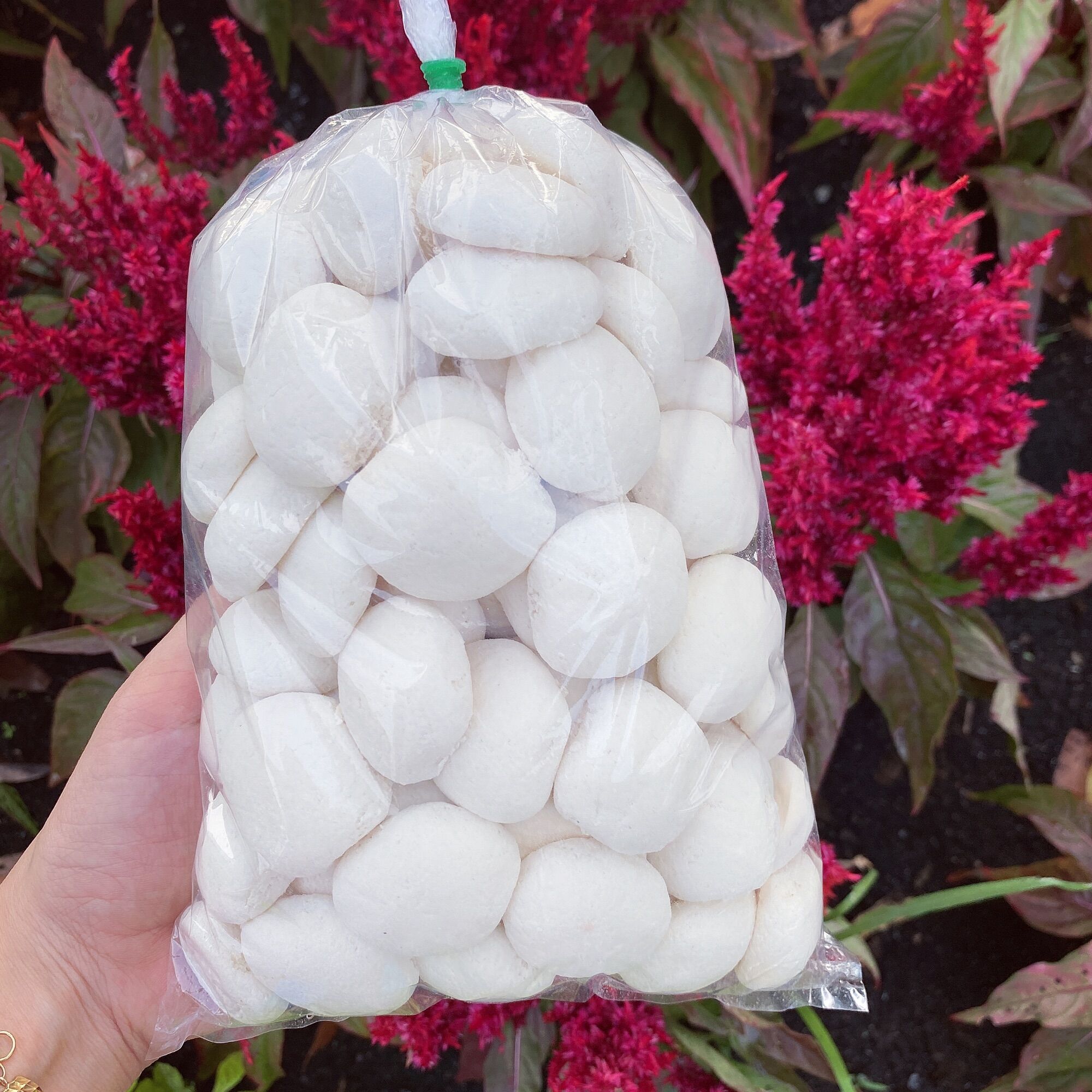 1 bịch bánh bao sữa trắng 65 cái bánh mini (Mua về chỉ việc ăn không cần chế biến)