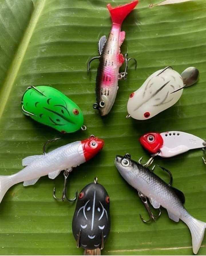 Combo mồi 7 con
