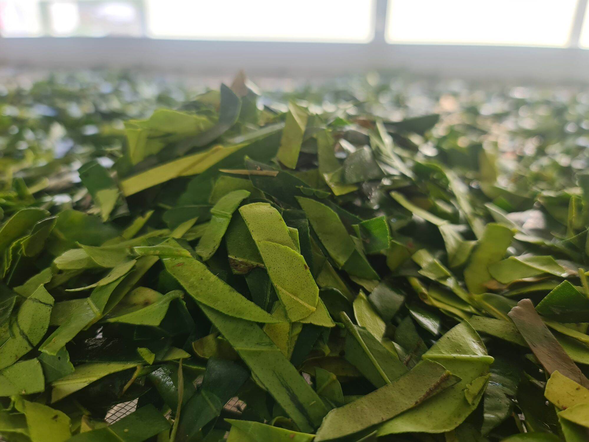 Lá Chanh Thái sấy khúc 1cm Việt Hiệp Gói 250g
