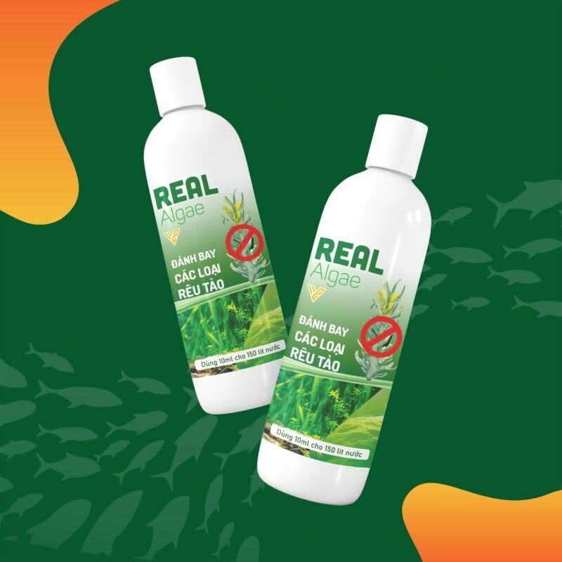 Diệt rêu tảo real algae cho bể thủy sinh