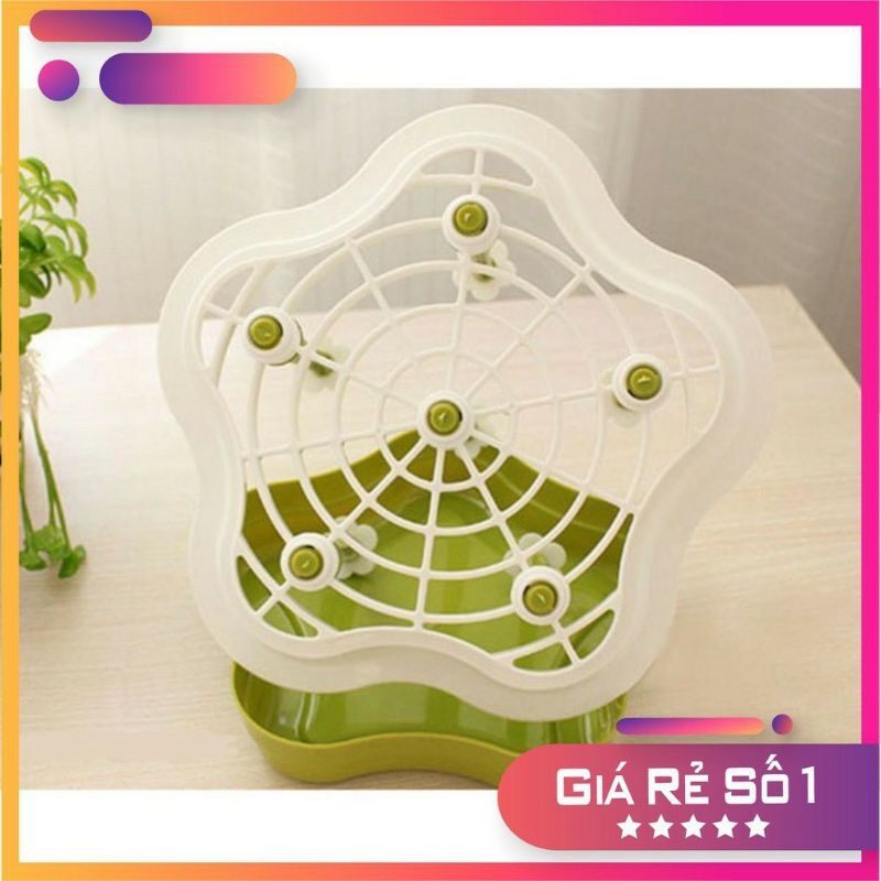 Khay úp ly, cốc hình hoa 6 trụ