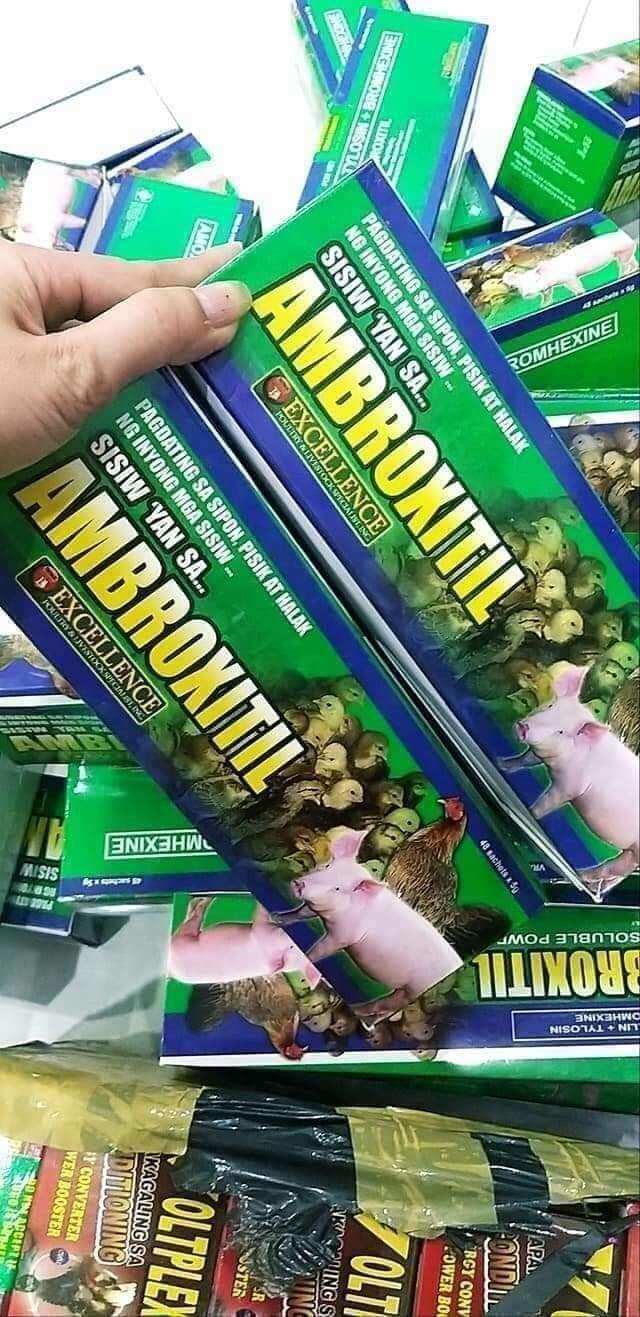 Úm Phi Ambroxitil phòng chữa bệnh gà con