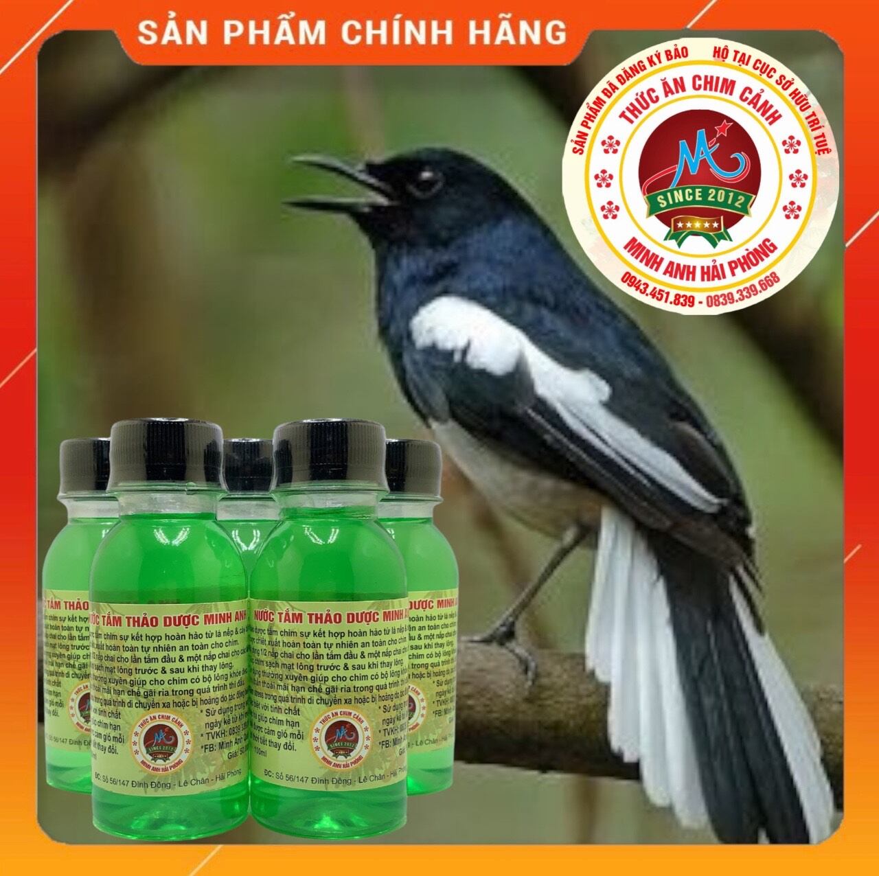 Nước tắm thảo dược dành cho chim cảnh