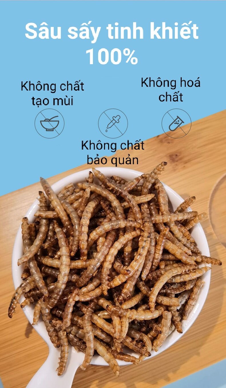 Sâu lớn cho hamster, sóc, chim, cá, gà kiểng, nhím....
