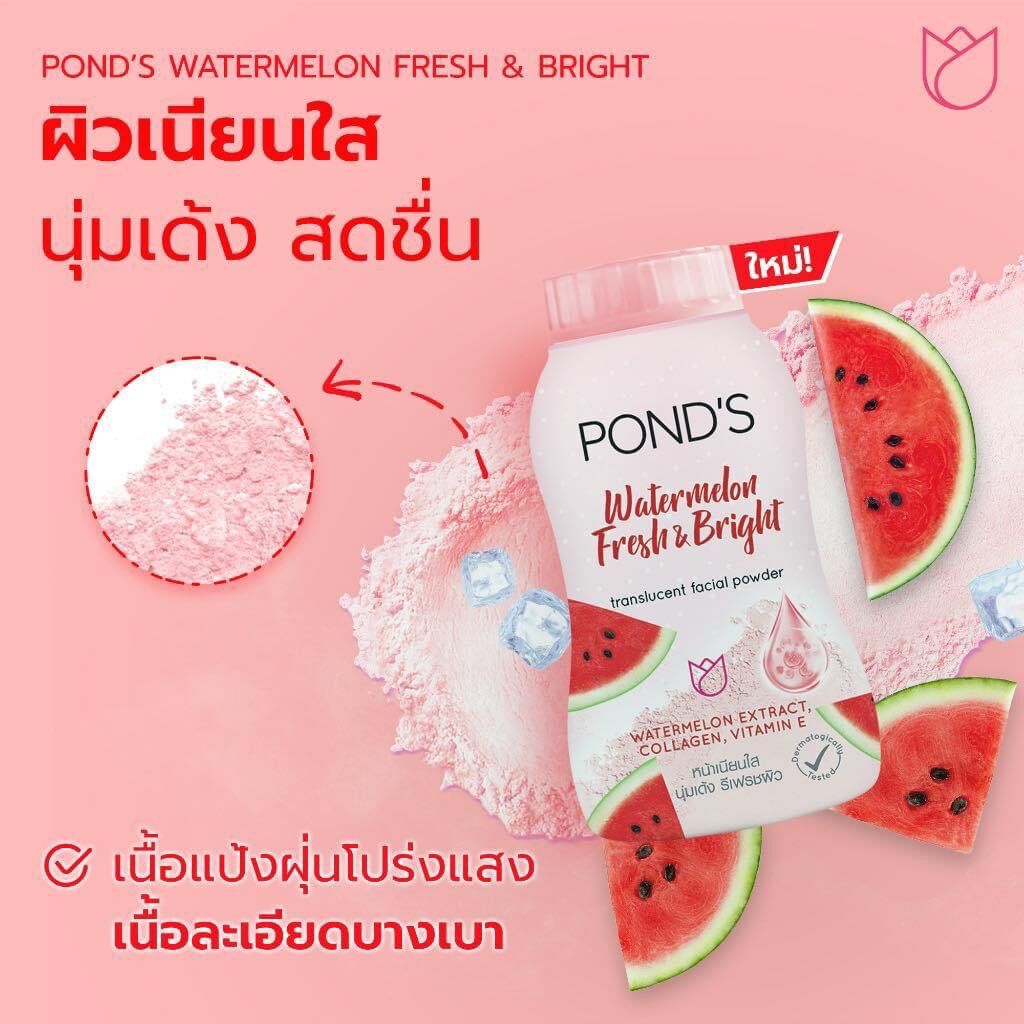 Phấn phủ pond dưa hấu thái lan