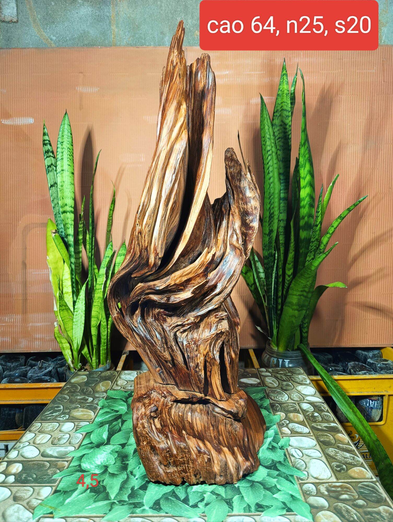 Lũa gỗ thơm ngọc am đỏ hà giang