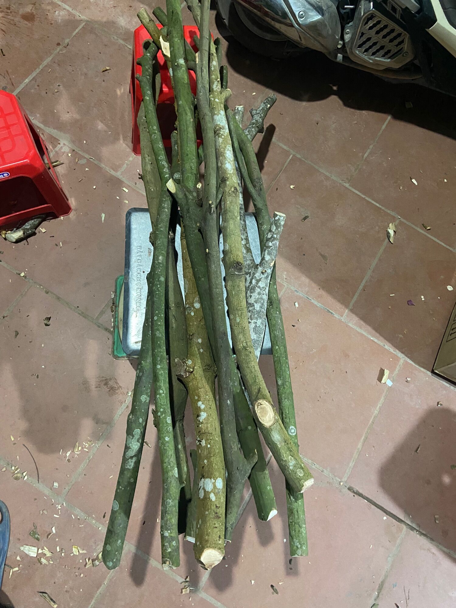 Cành củi khô trang trí (1- 1,3m)