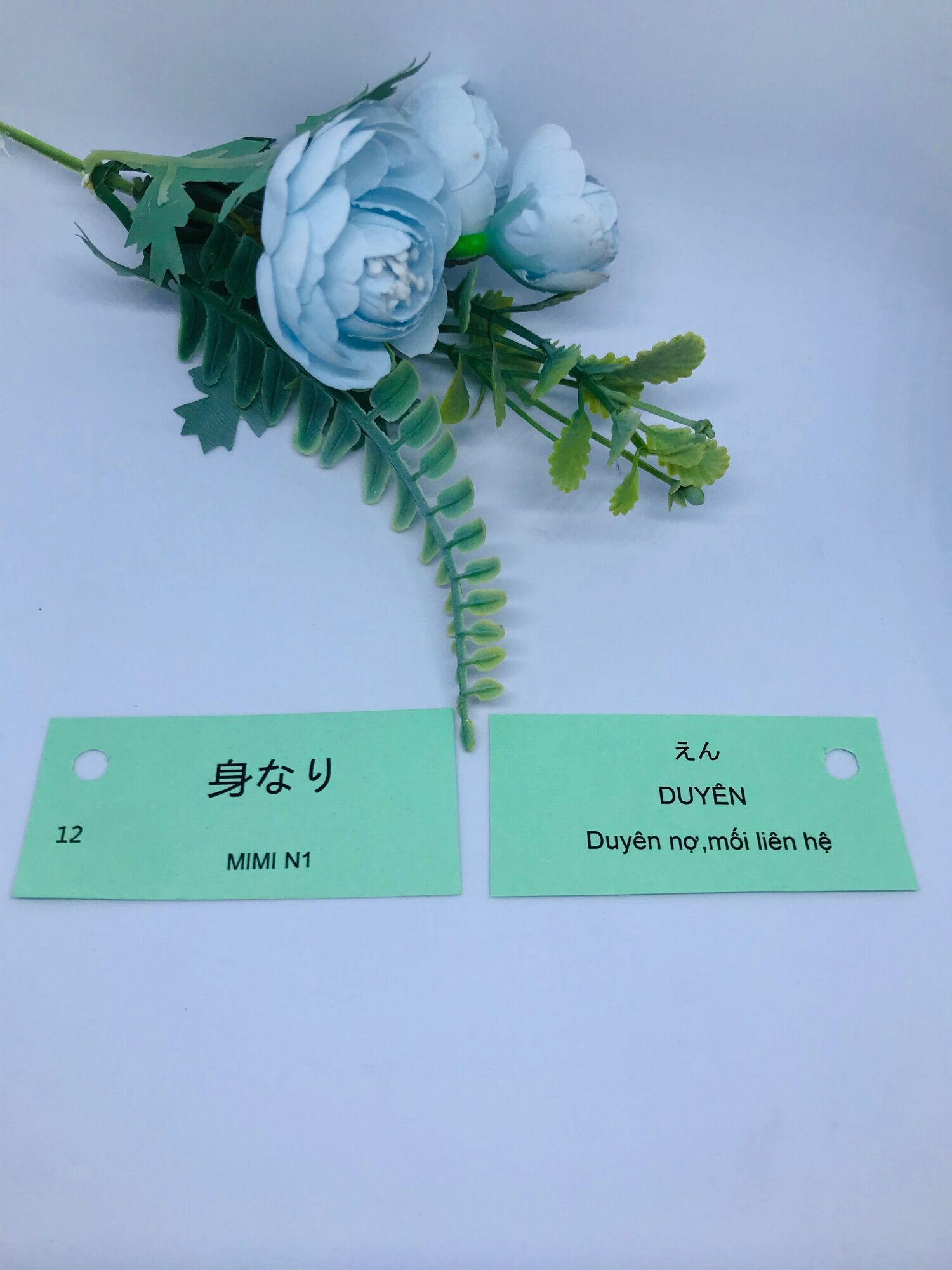 Flashcard Tiếng Nhật N1 1170 từ vưng Mimikara