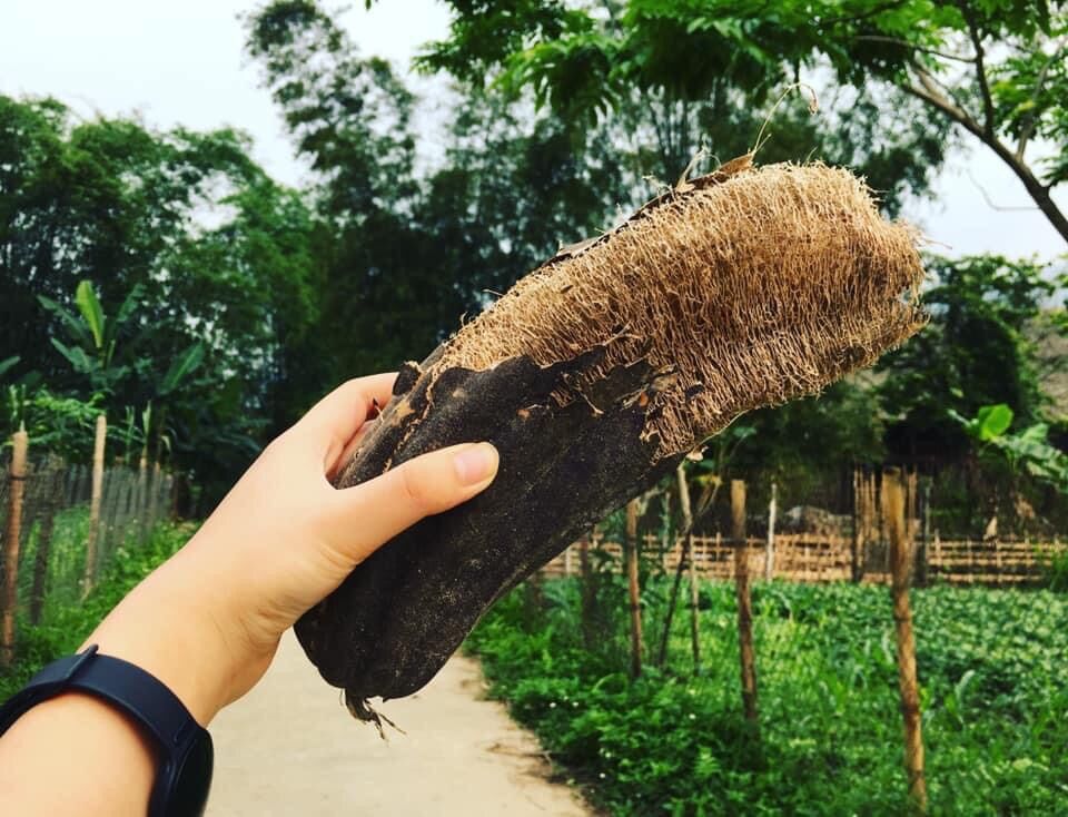 Bông Tắm Sơ Mướp Handmade