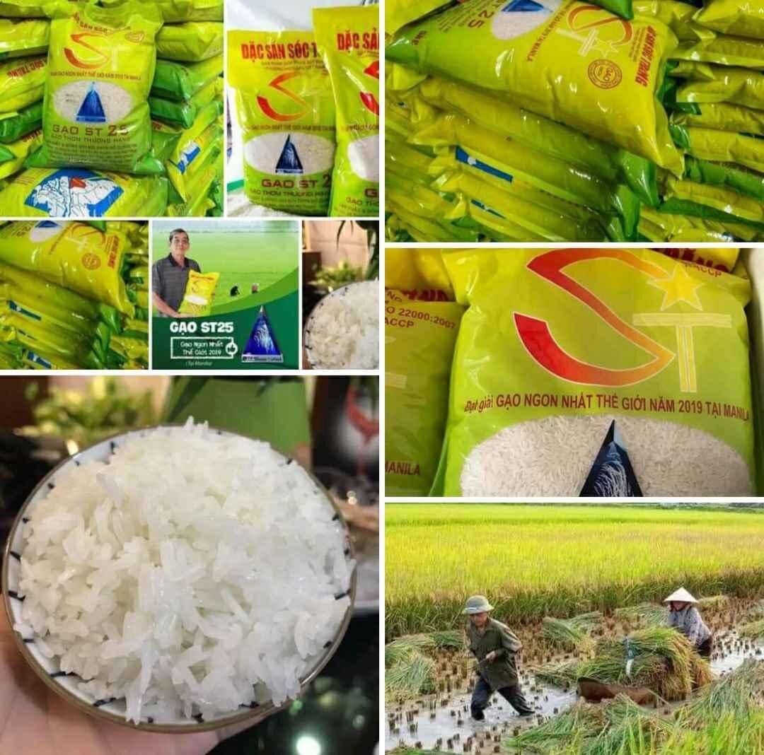 GẠO ST25 ( bịch 10kg )