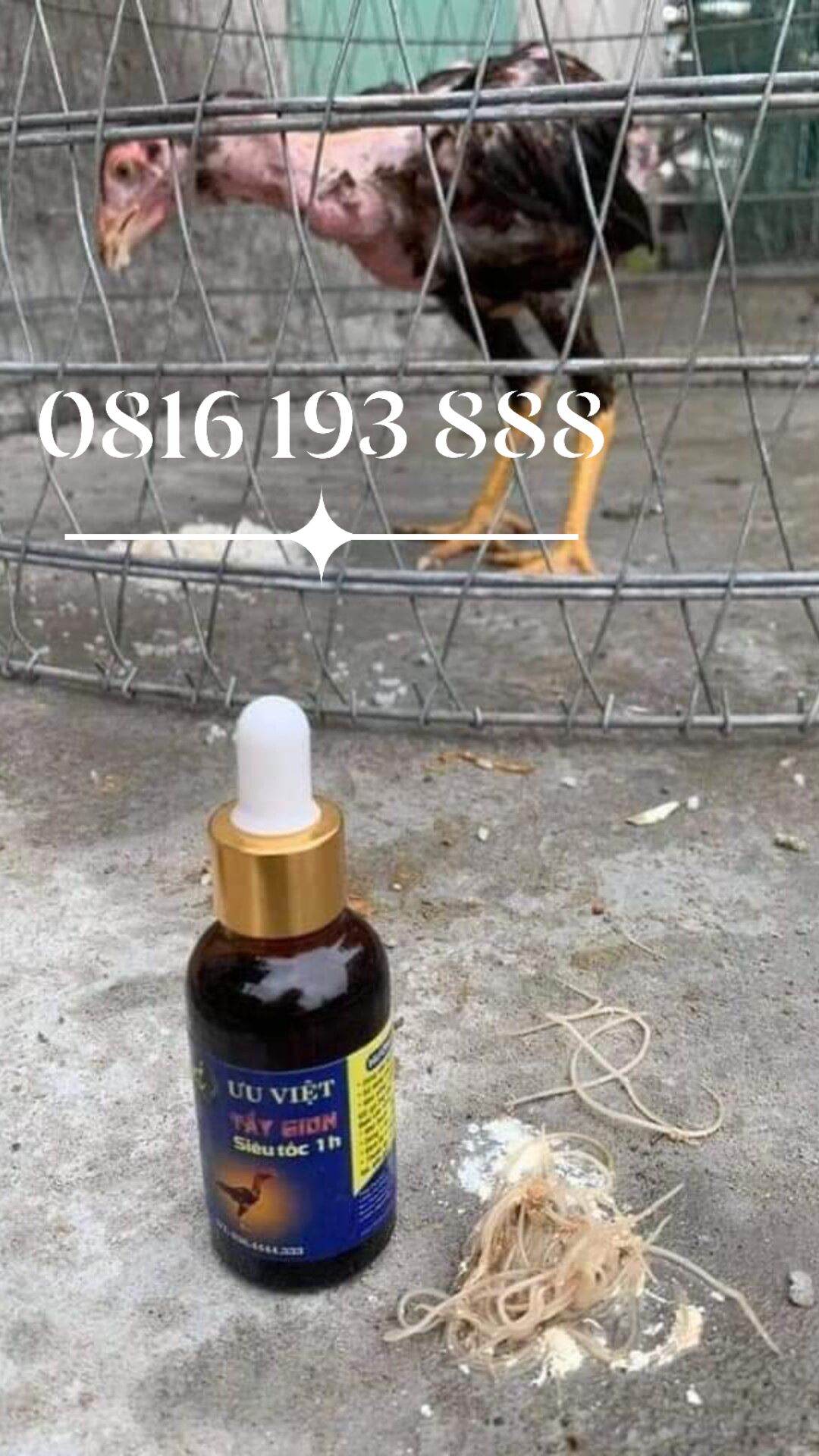 Tẩy giun ưu việt