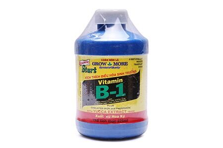 Phân bón B1 Mỹ cho cây cảnh