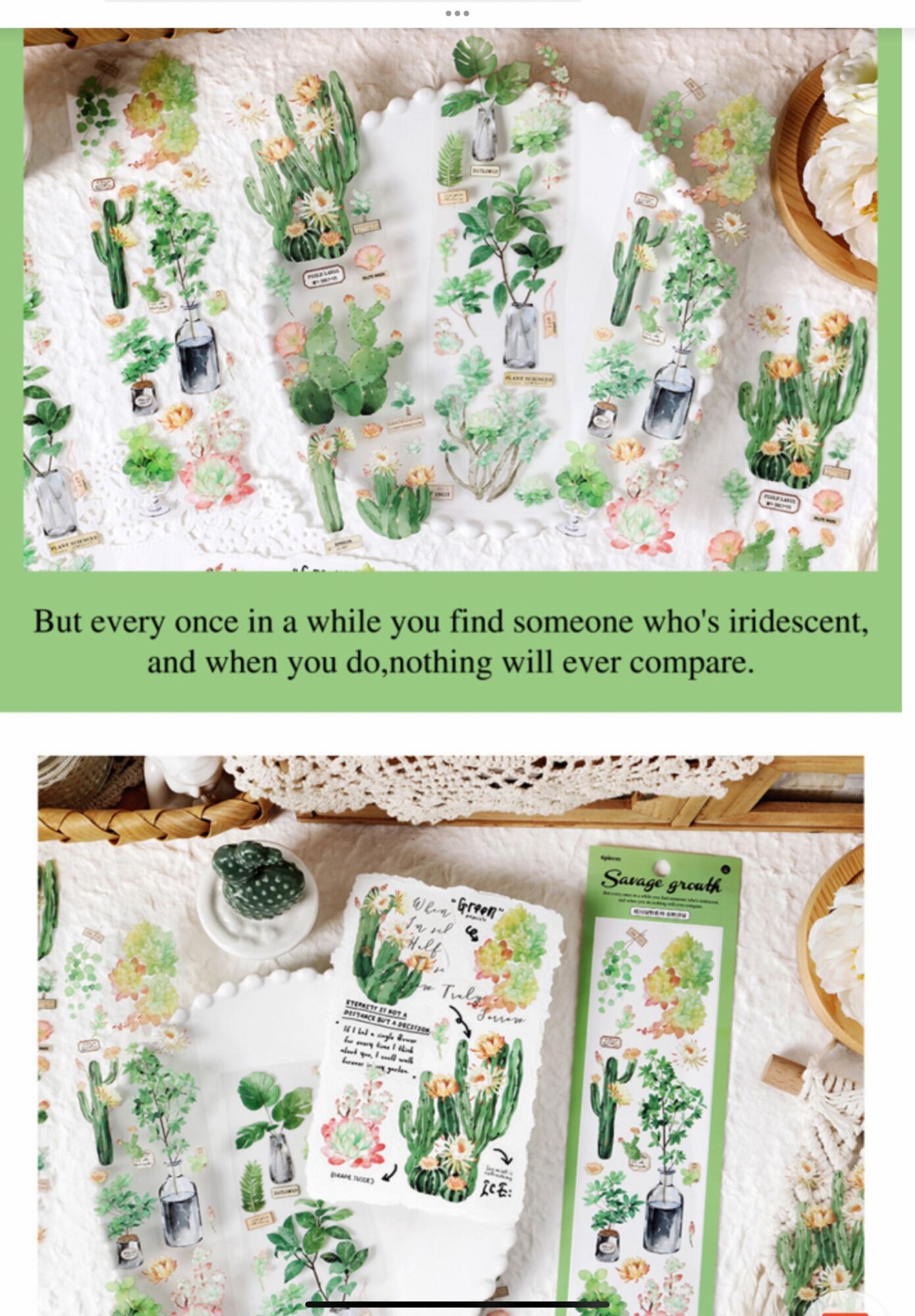 Set 6 tờ sticker hình hoa, lá , chậu cây, … dùng để trang trí. 