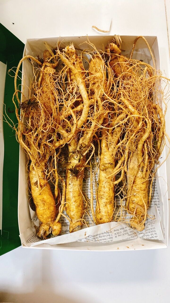 1 kg sâm tươi Hàn Quốc 8củ /1 kí hàng bao đẹp