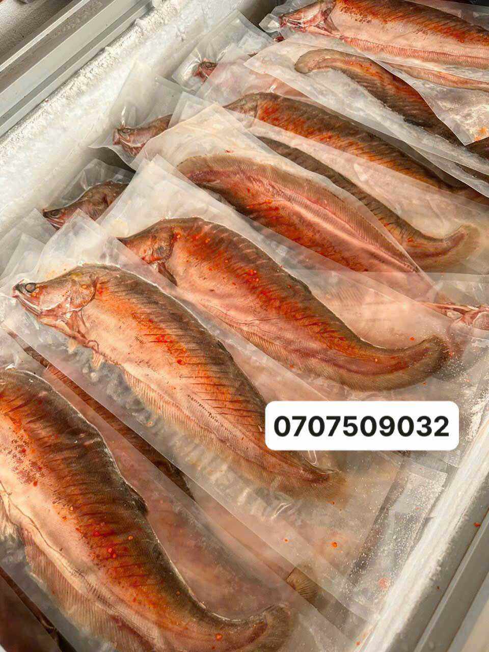 CÁ THÁC LÁC RÚT XƯƠNG