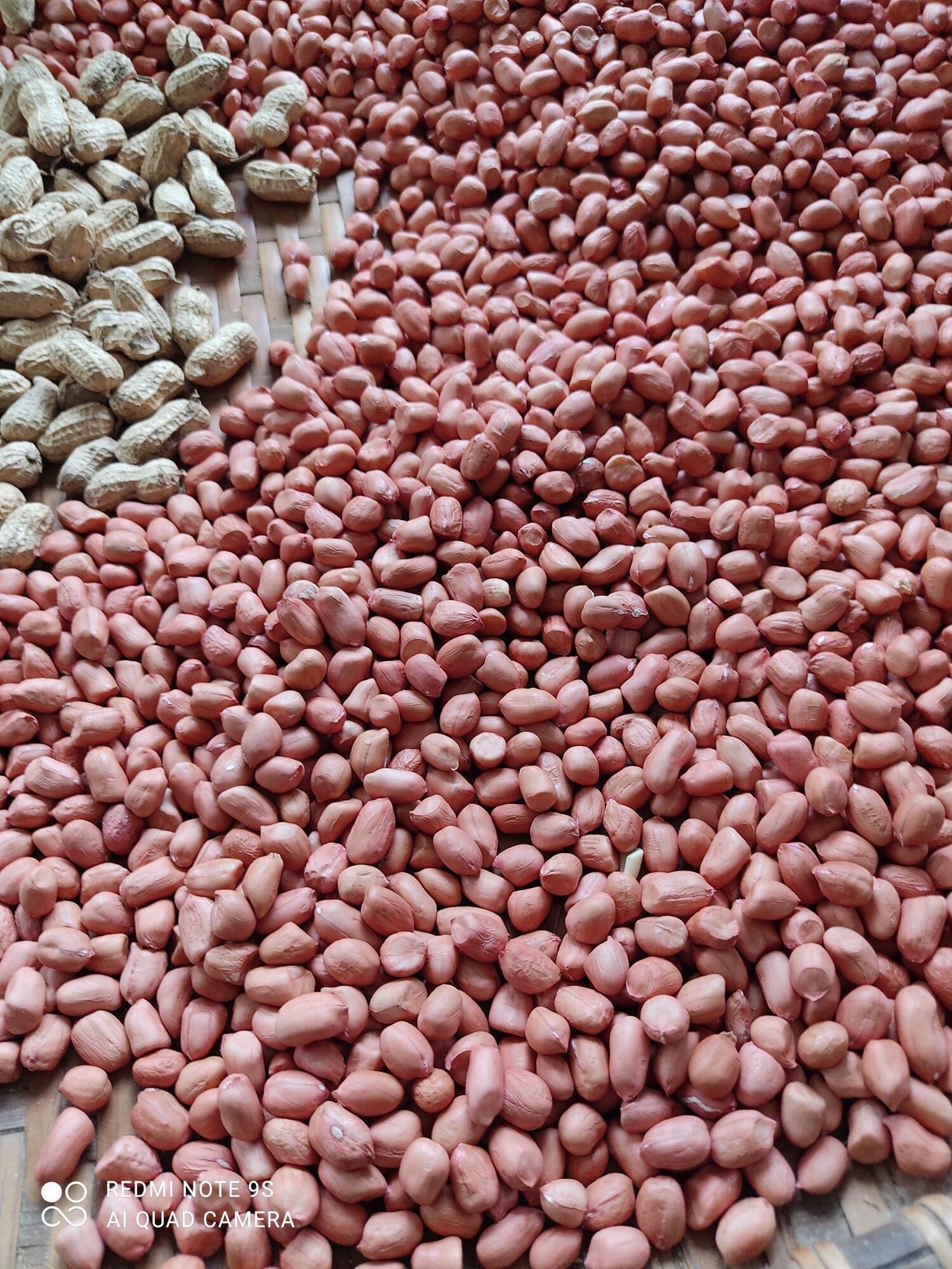 Lạc nhân bóc tay/ lạc ré ta 1kg