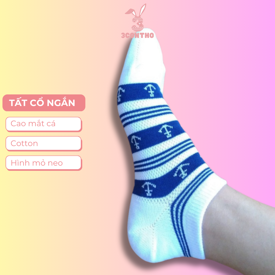 Tất nữ cổ ngắn mỏ neo xuất dư