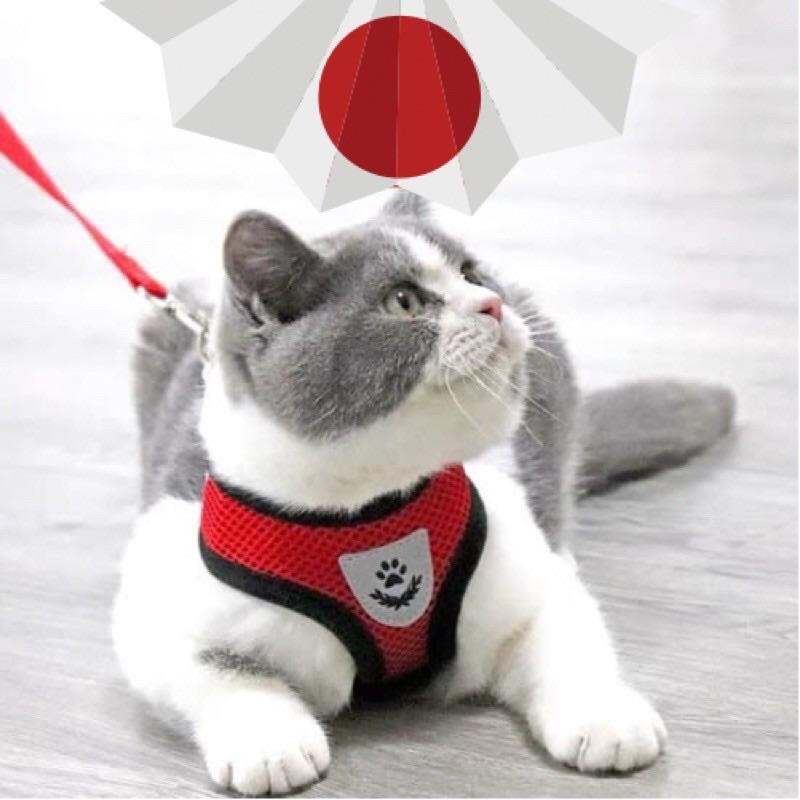 🌶🌶DÂY DẮT KÈM ÁO YẾM SIÊU XINH CHO CHÓ MÈO
