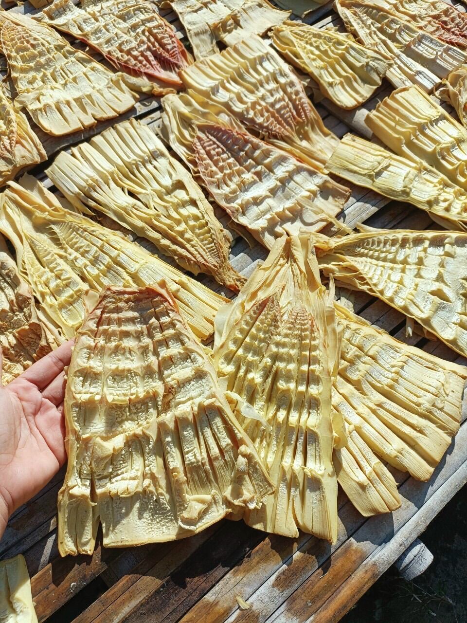 Măng mầm Tây Bắc loại 1 thơm ngon non