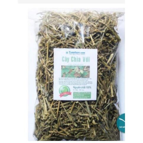 500g cây chìa vôi