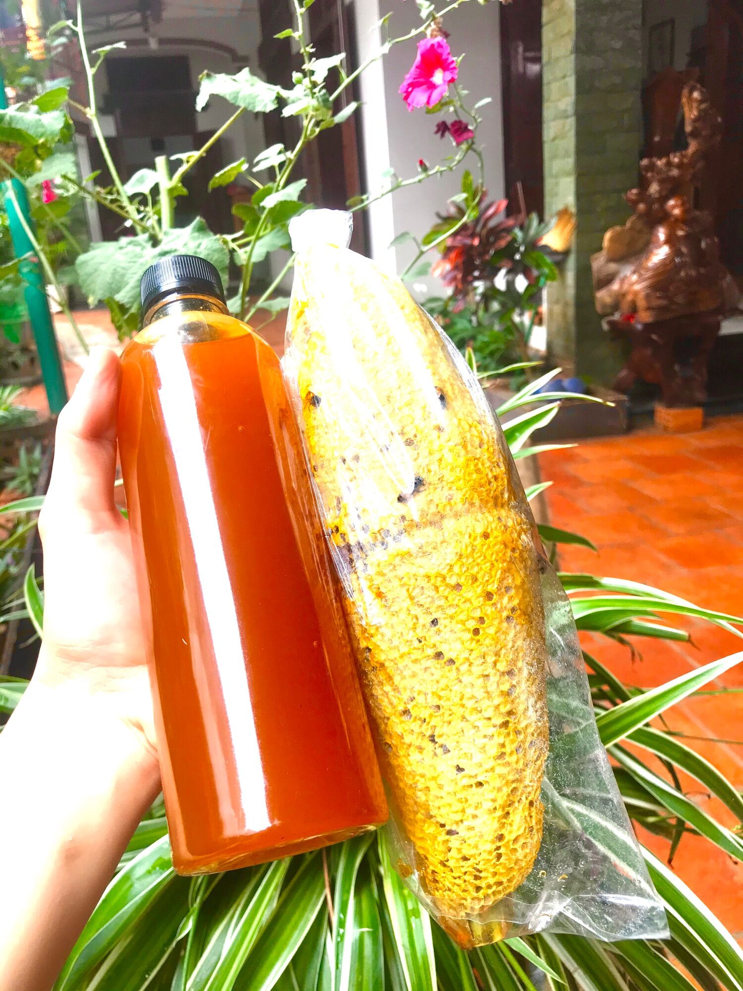 Mật ong ruồi rừng đăk lăk( 0,5lit)