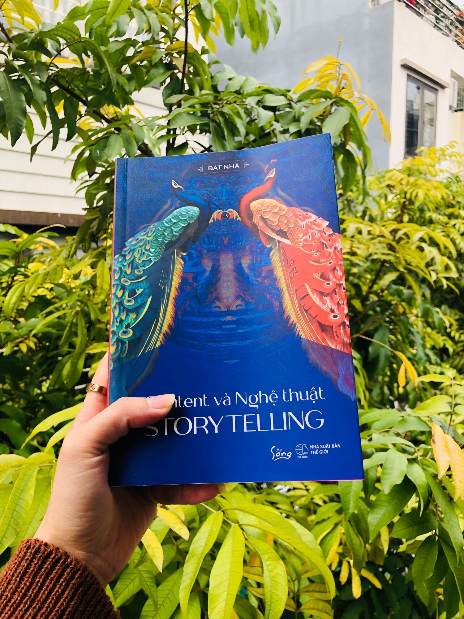 Oopsy - Content và Nghệ thuật Storytelling