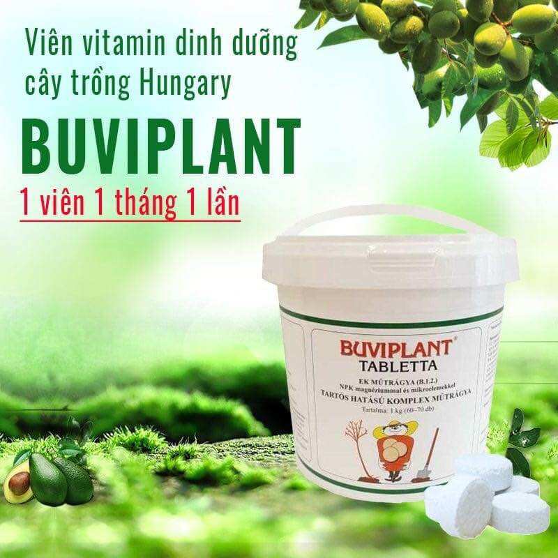 VItamin buViplant dinh dưỡng cho cây hộp 200 viên