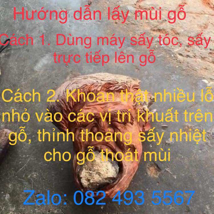 lũa ngọc am đỏ hà giang, hàng sụn gỗ già đanh.