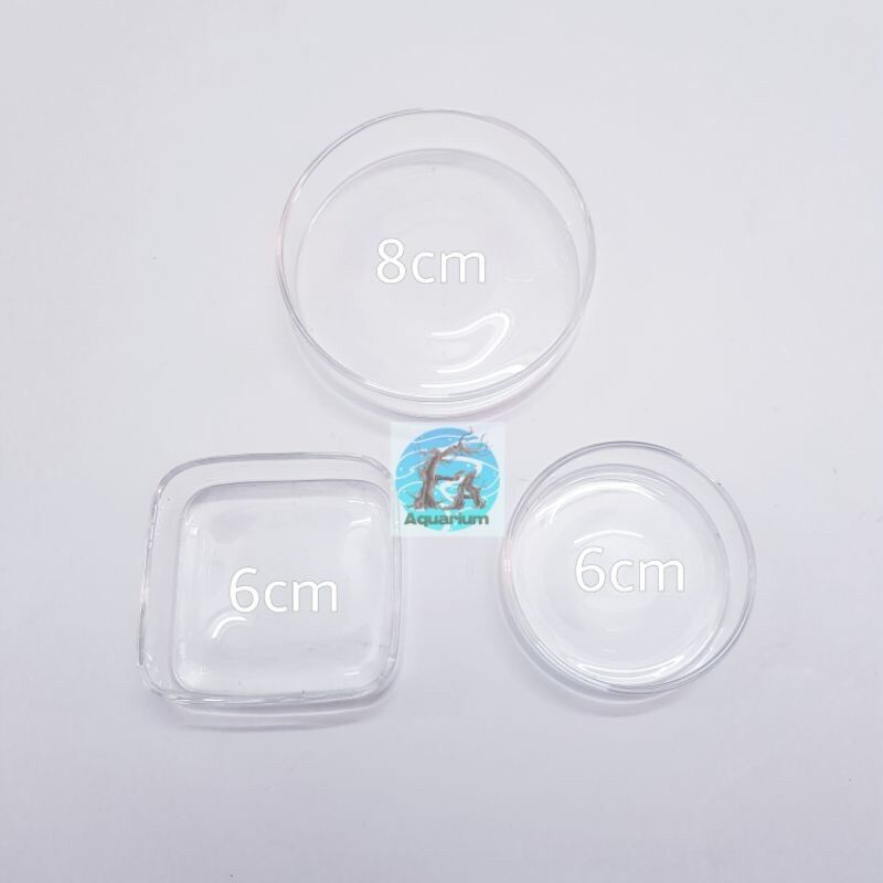 Chén thuỷ tinh đựng thức ăn cho cá tép