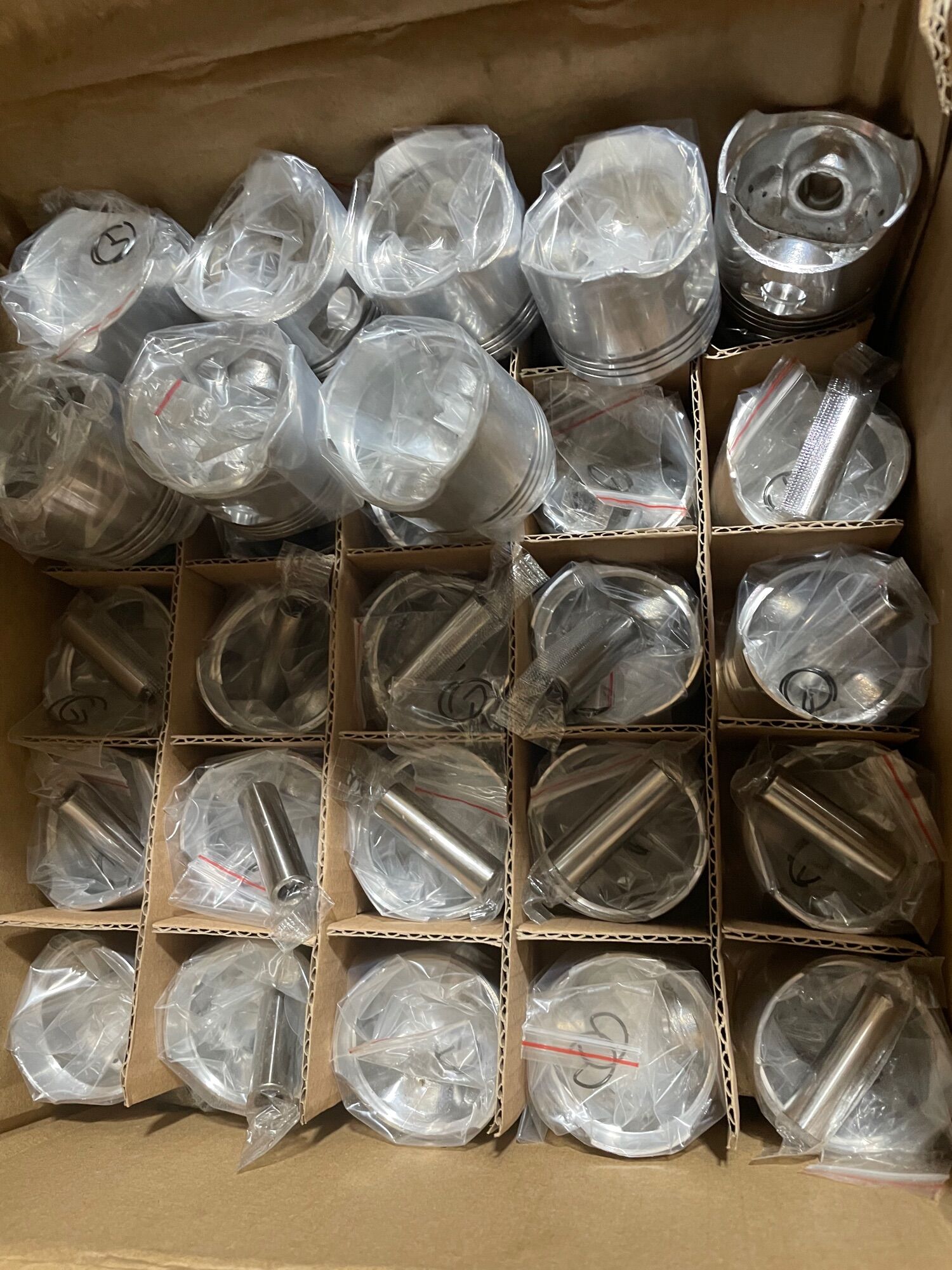 Bittông Mát cốt2 co bac