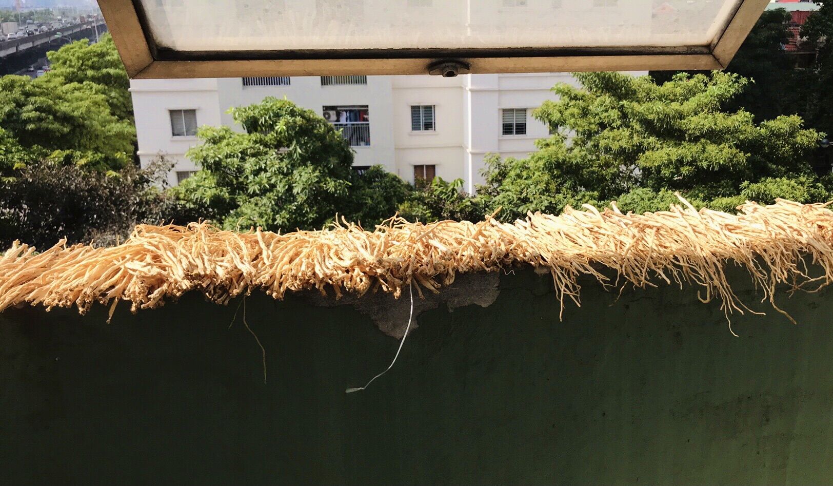 Sản phẩm cho khách lẻ