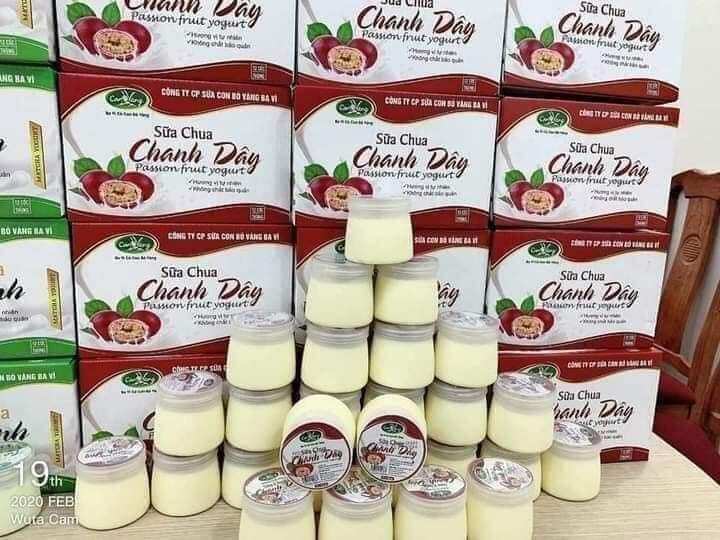 EM VỀ SẴN 500 thùng sữa chua nếp cẩm ba vì chị vàng đủ các vị sữa chua nếp cẩm sữa chua nha đam sữa chua mic vị bốn mùa sữa chua phô mai sữa caremen sữa chua chanh Leo                                                                 sữa chua trà xanh đồng