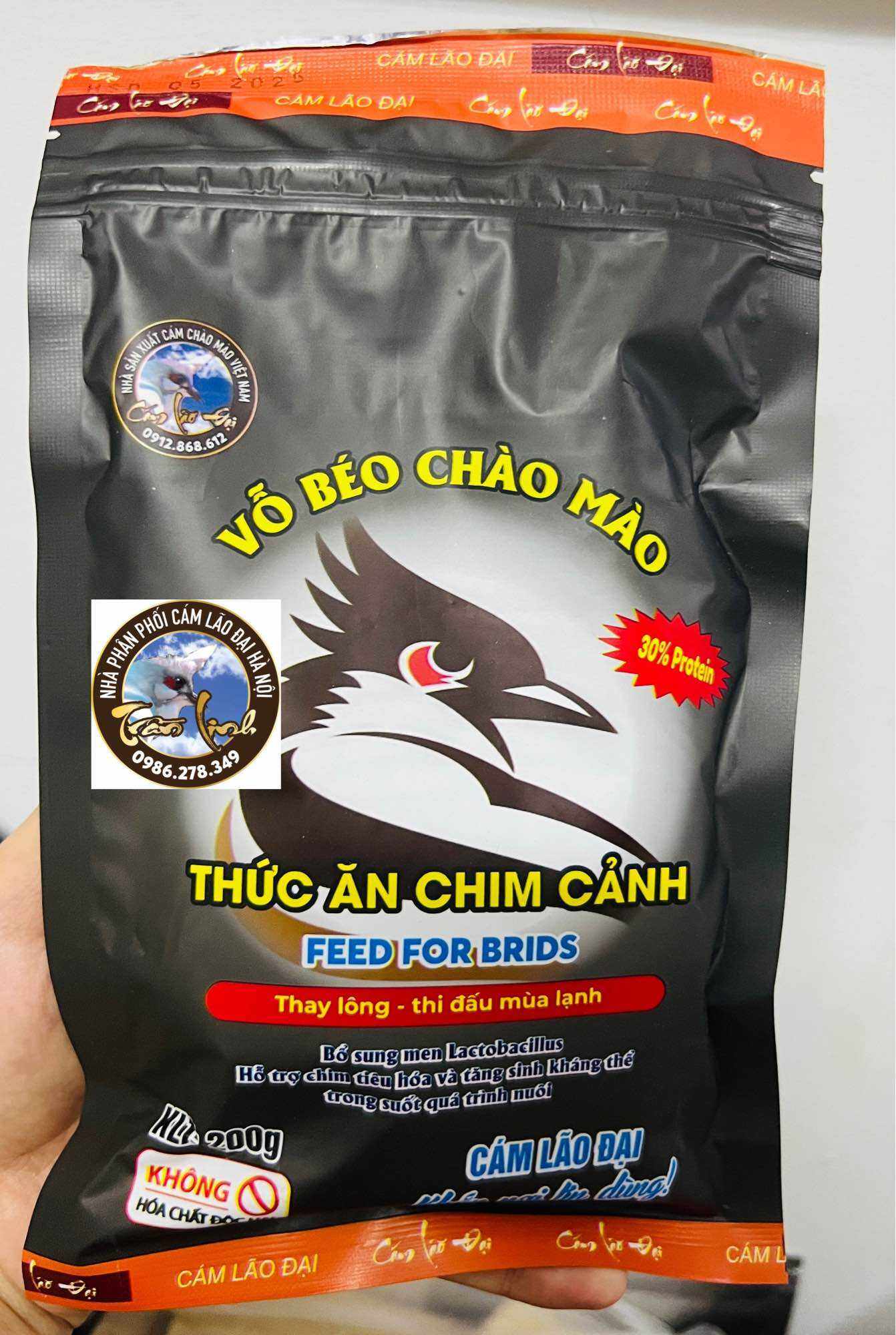 CÁM VỖ BÉO THAY LÔNG ( CHÀO MÀO) - LÃO ĐẠI