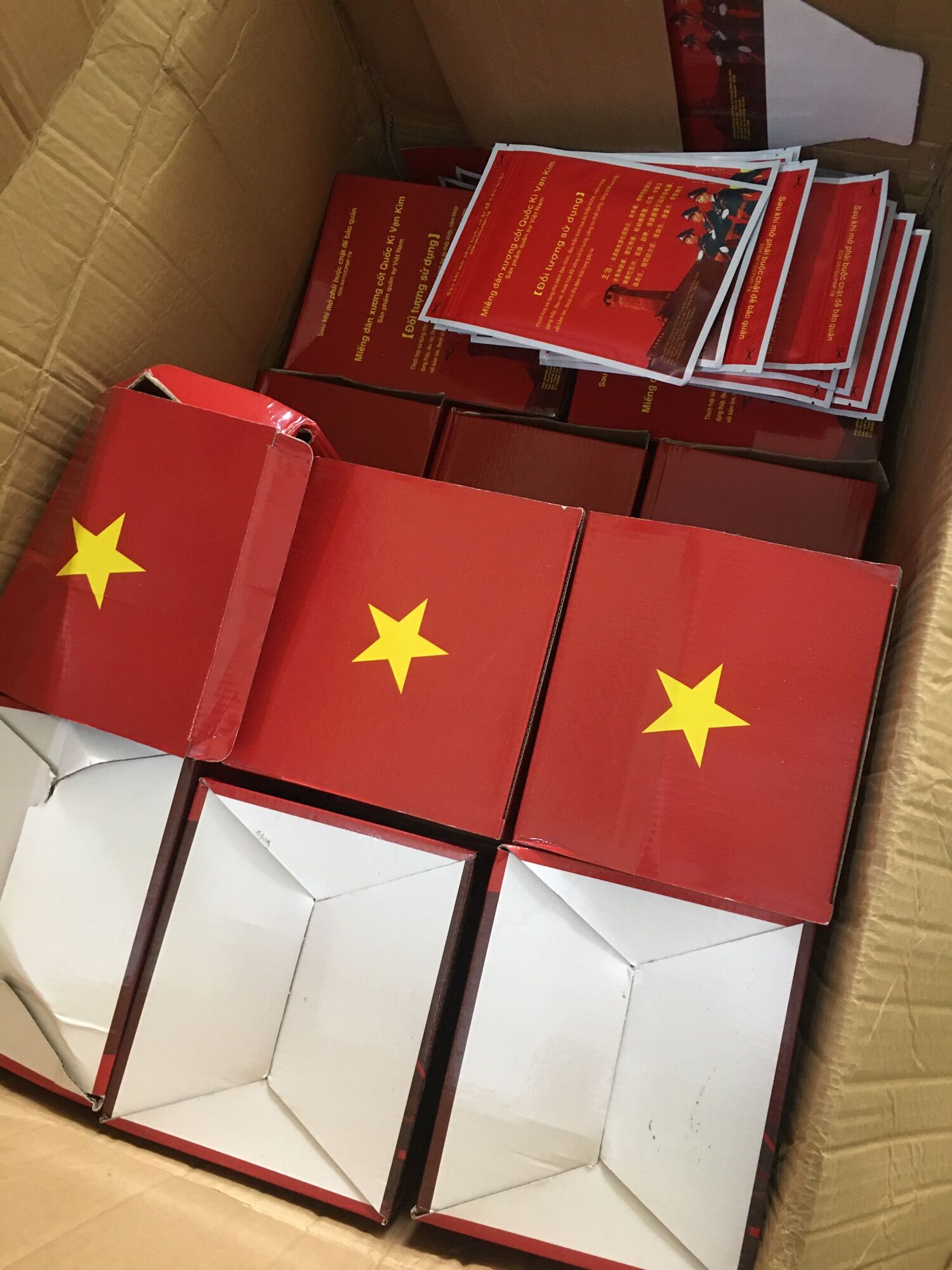 Bộ 10 miếng dán xương cốt Quốc Kỳ Vạn Kim ( mua 10 gói tặng 1 gói )