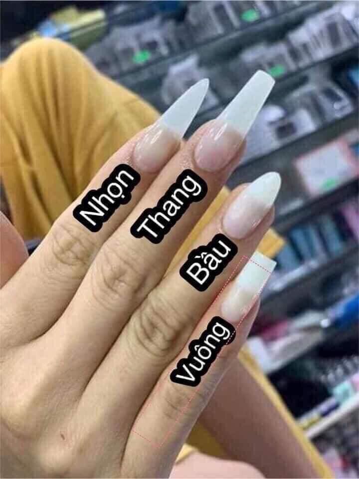 Nail box thiết kế đen mắt mèo