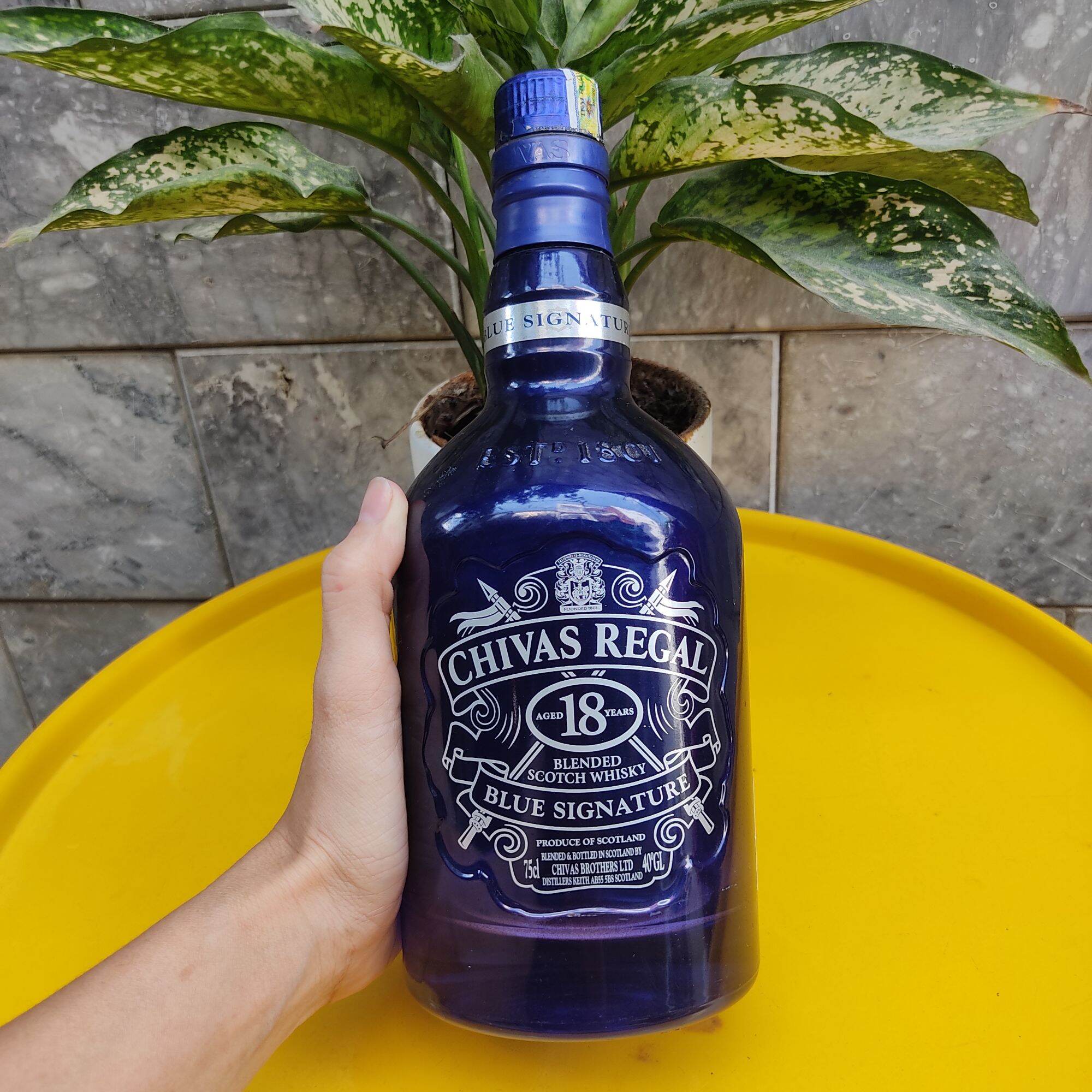 Vỏ Chai Rượu Ngoại Nhiều Loại