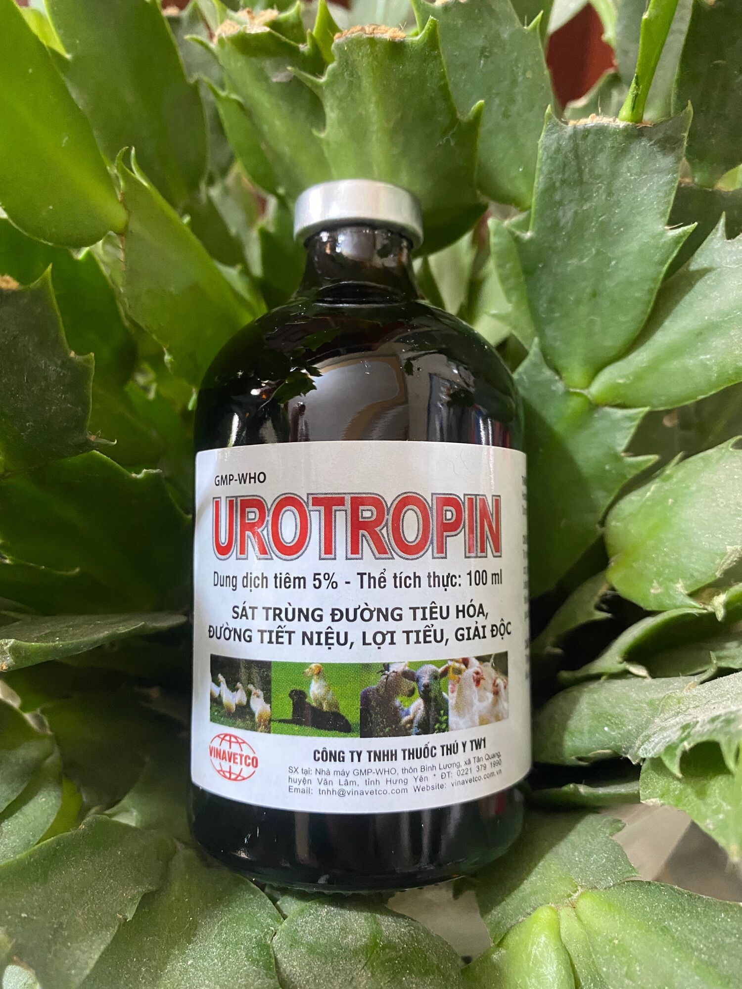 100ml UROTROPIN - LỢI TIỂU, CHƯỚNG HƠI