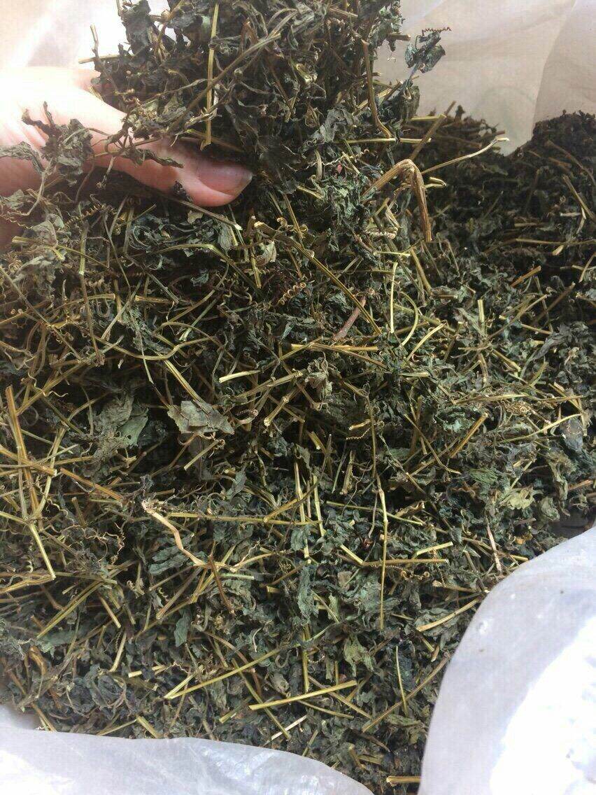 1kg trà giảo cổ lam