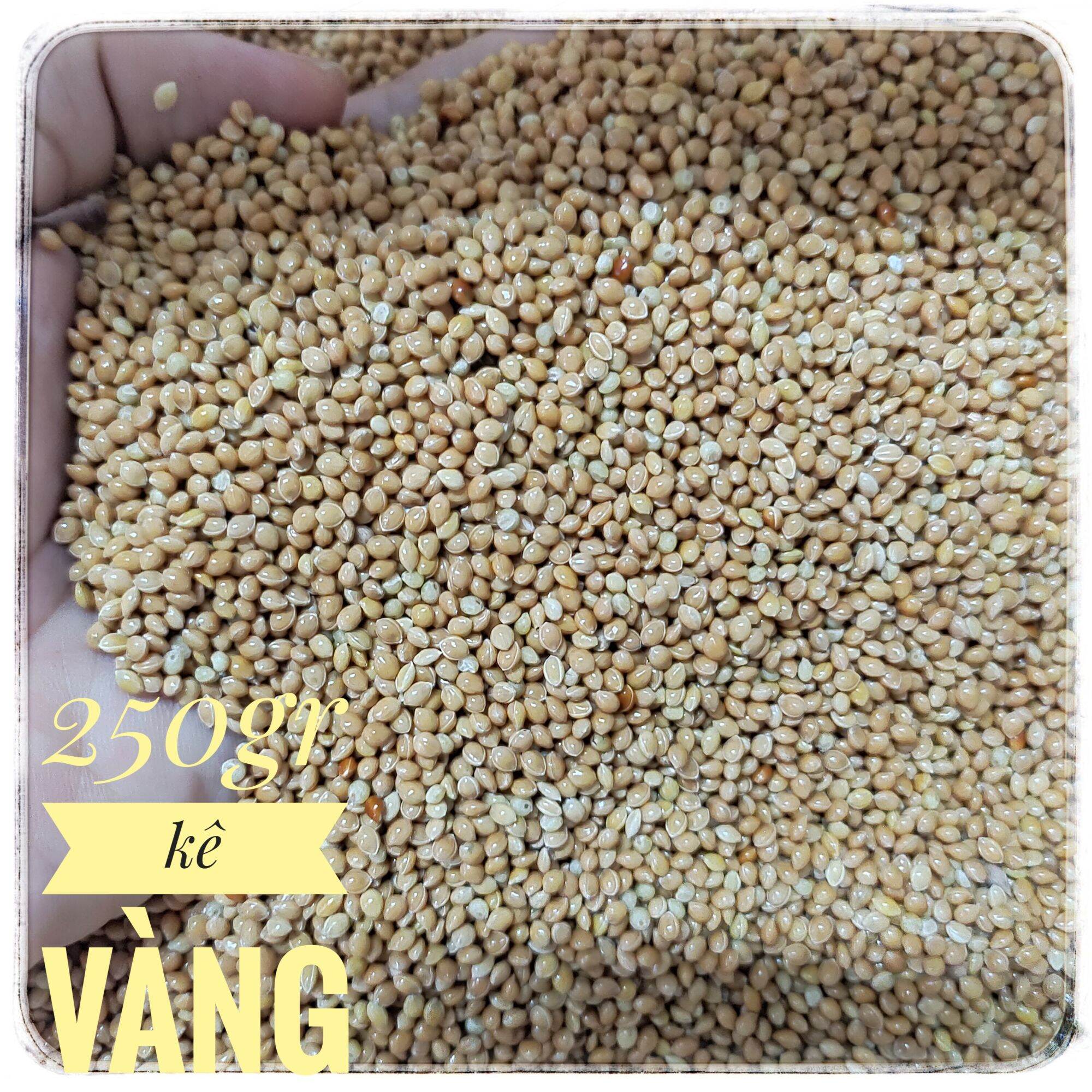 Kê hạt vàng- Thức ăn hamster, chim, vẹt,yến, phụng