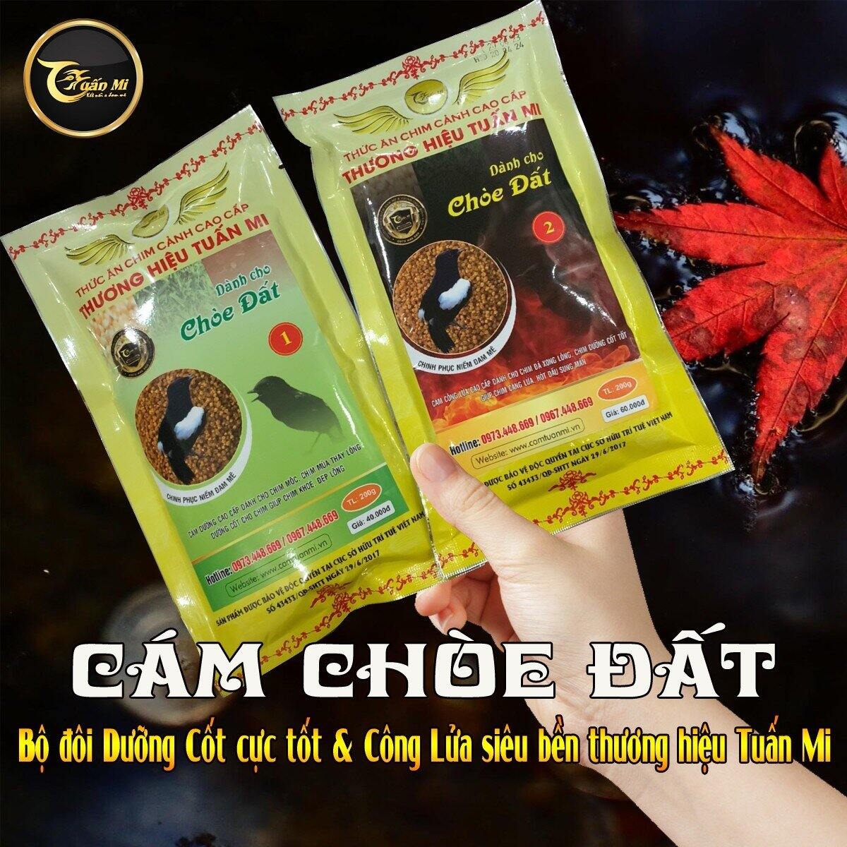 Cám Choè Đất số 1 ( Tuấn Mi )