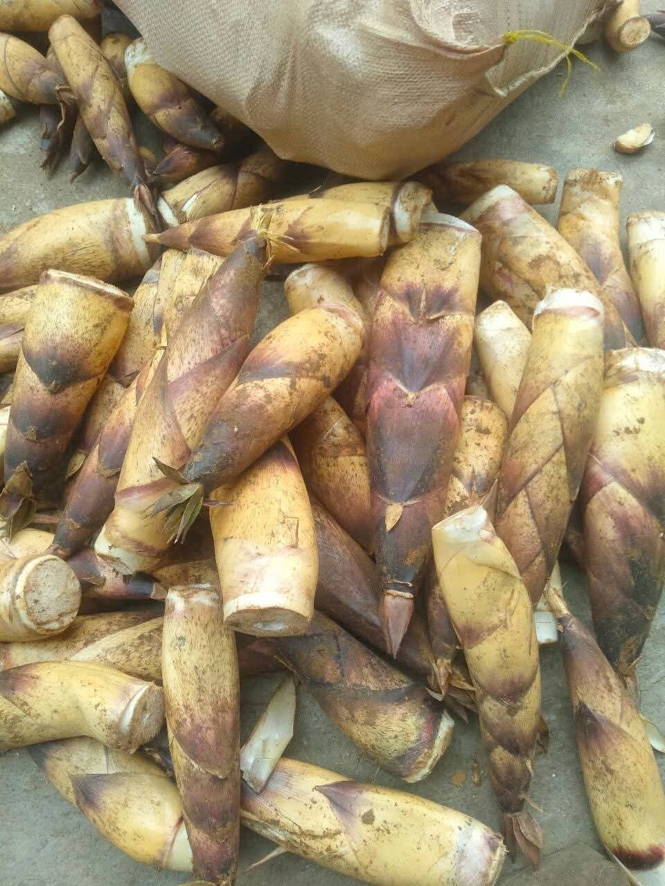 Măng vầu ngọt Tây Bắc 1kg
