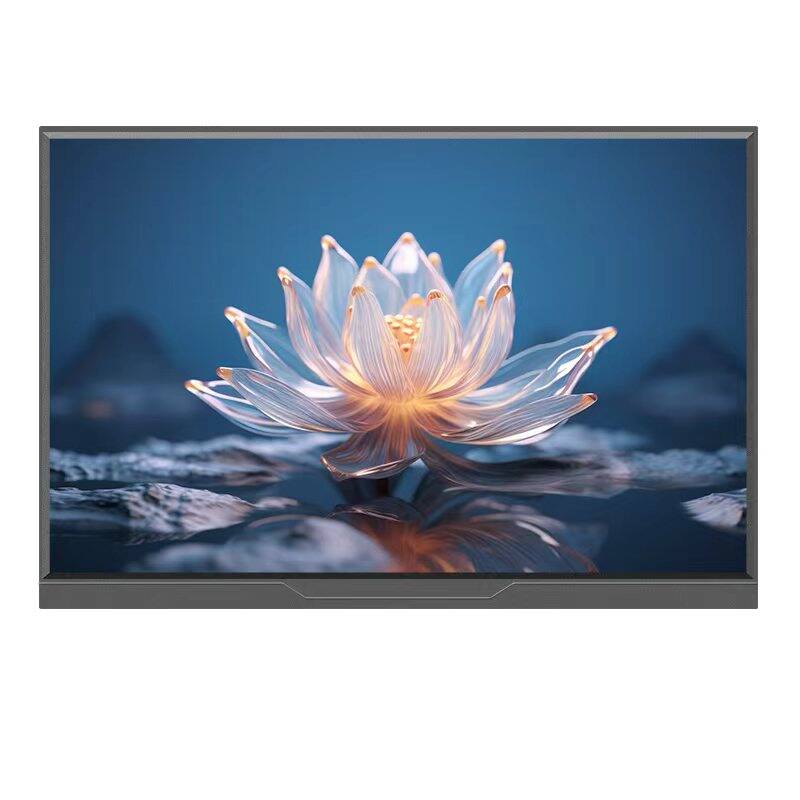 LANLIPU | Portable Touch Screen Monitor for Expansion Giá 3,275,000 Đồng*Miễn phí vận chuyển